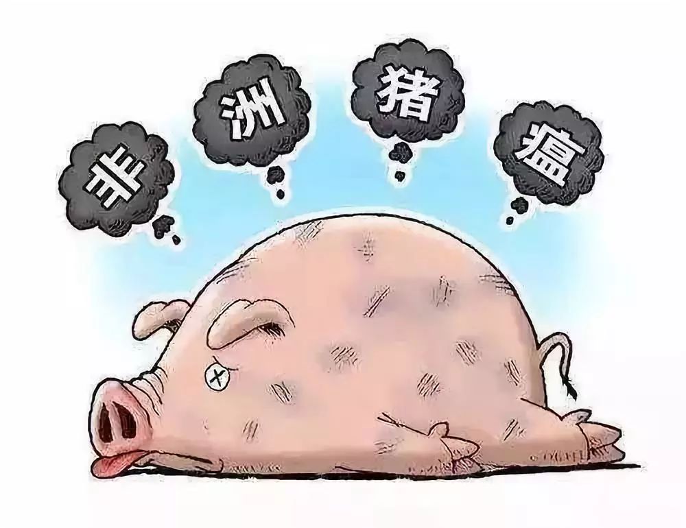 144715az6pkpm7q7zgggzk.jpg